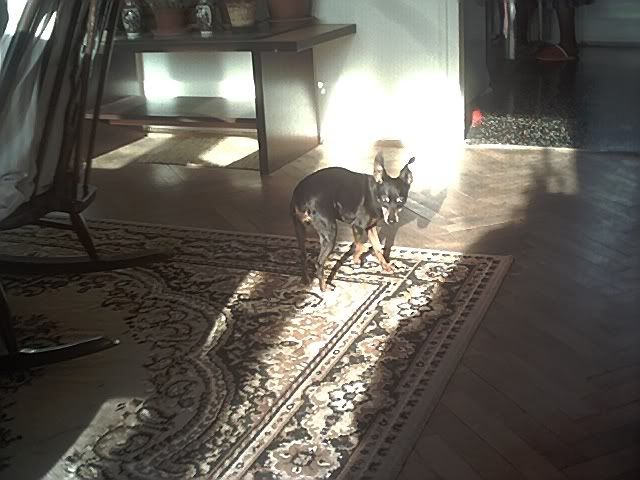 Photo Sharing and Video Hosting at Photobucket