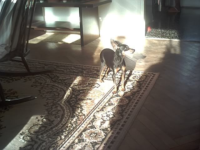 Photo Sharing and Video Hosting at Photobucket