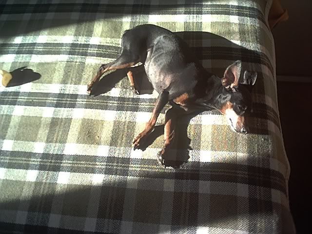 Photo Sharing and Video Hosting at Photobucket