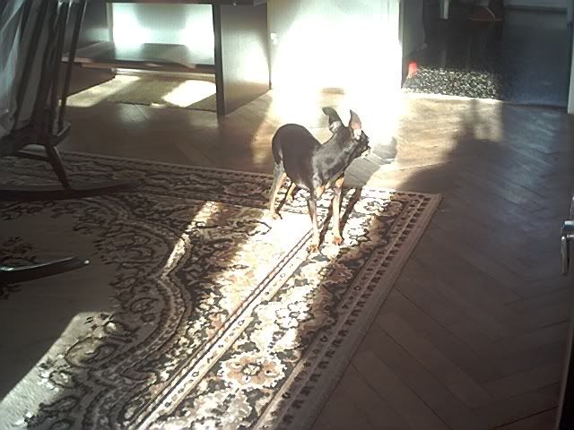 Photo Sharing and Video Hosting at Photobucket