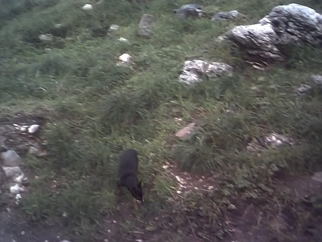 Photo Sharing and Video Hosting at Photobucket