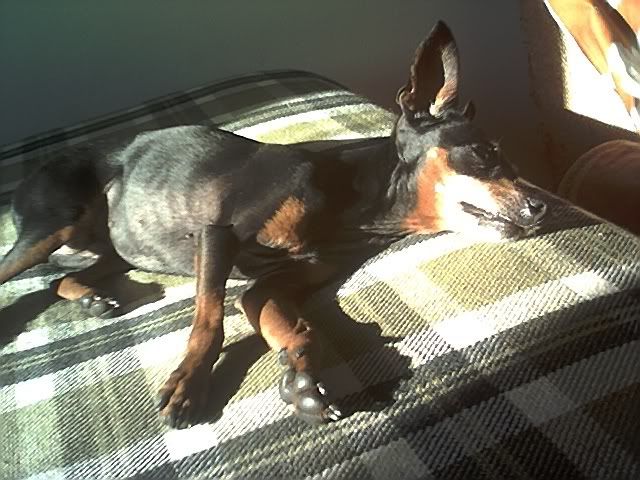 Photo Sharing and Video Hosting at Photobucket