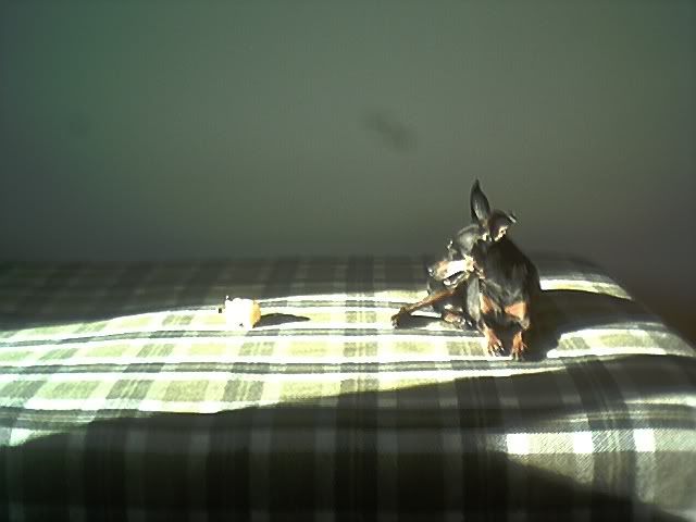 Photo Sharing and Video Hosting at Photobucket