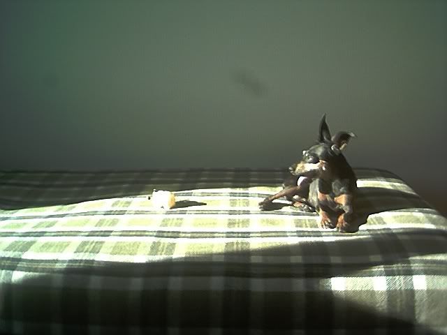 Photo Sharing and Video Hosting at Photobucket