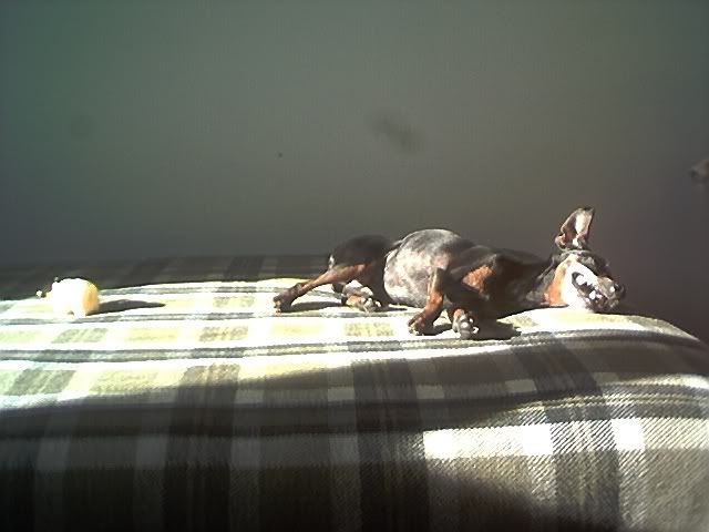 Photo Sharing and Video Hosting at Photobucket