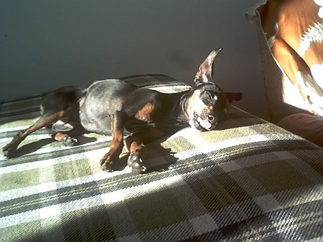 Photo Sharing and Video Hosting at Photobucket