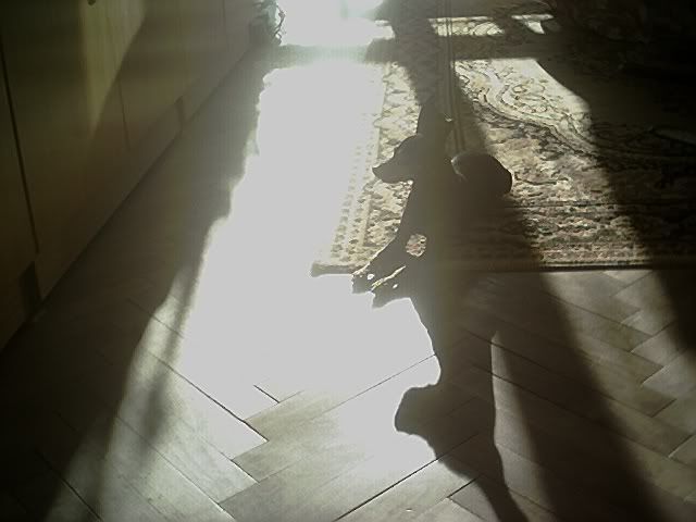 Photo Sharing and Video Hosting at Photobucket