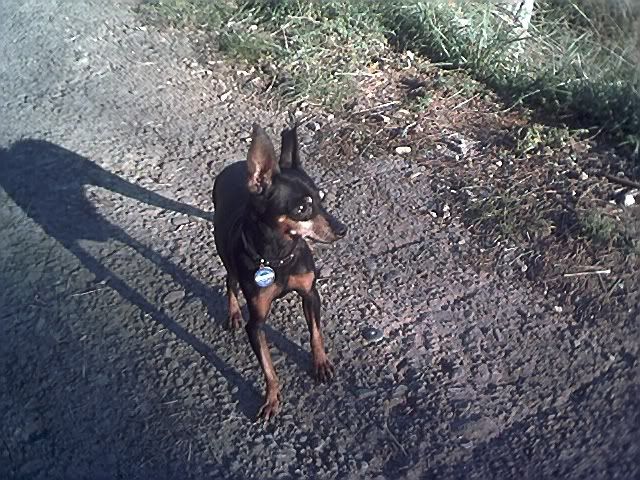 Photo Sharing and Video Hosting at Photobucket