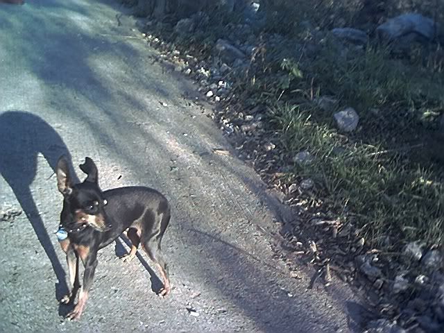 Photo Sharing and Video Hosting at Photobucket