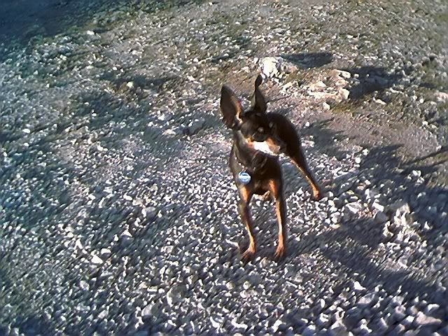 Photo Sharing and Video Hosting at Photobucket