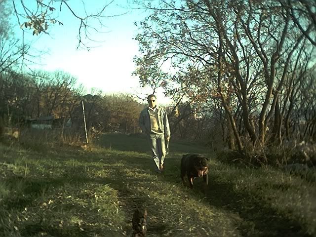 Photo Sharing and Video Hosting at Photobucket