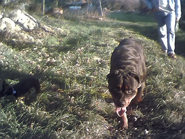 Photo Sharing and Video Hosting at Photobucket