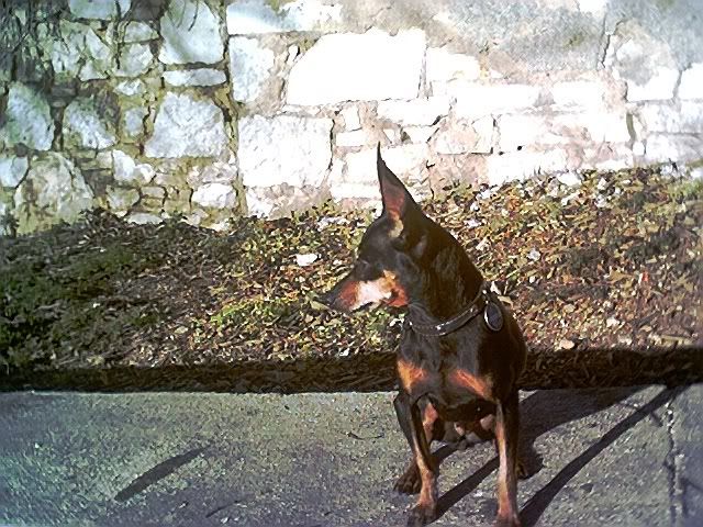 Photo Sharing and Video Hosting at Photobucket