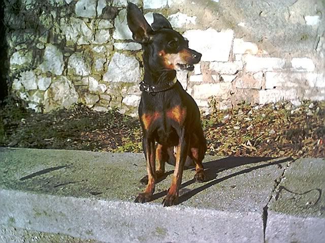 Photo Sharing and Video Hosting at Photobucket