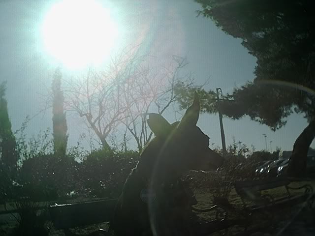 Photo Sharing and Video Hosting at Photobucket