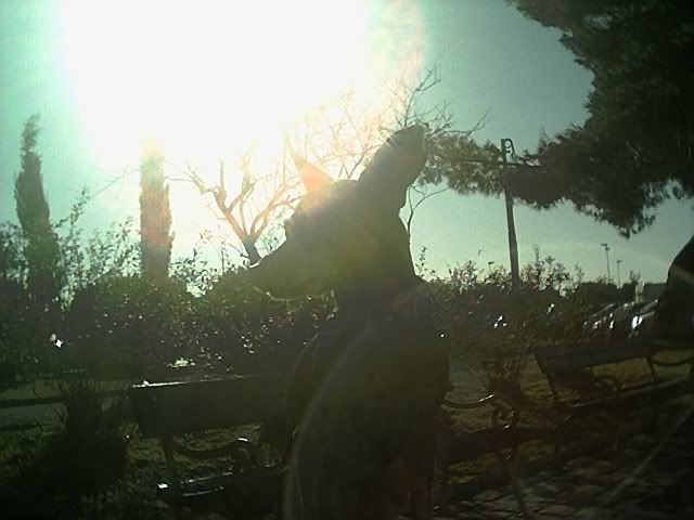 Photo Sharing and Video Hosting at Photobucket