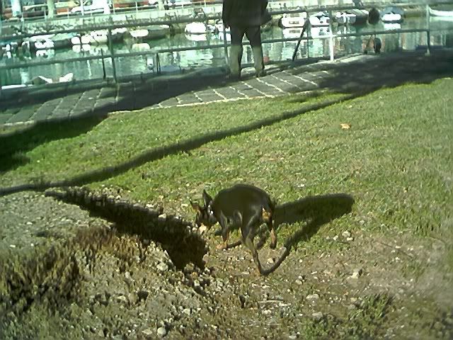 Photo Sharing and Video Hosting at Photobucket