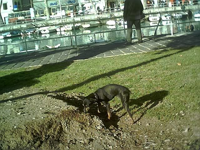 Photo Sharing and Video Hosting at Photobucket