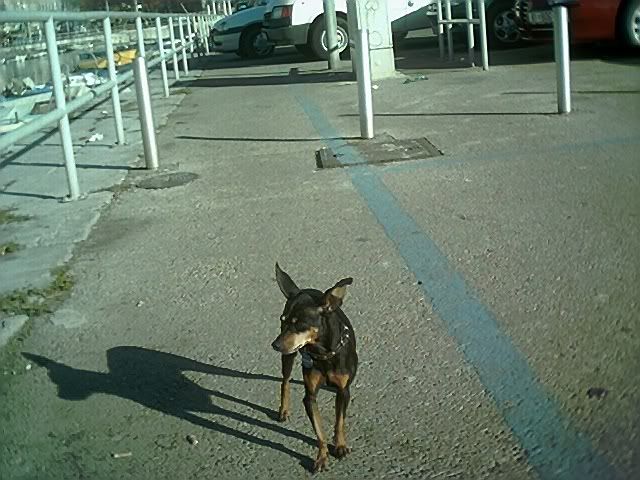 Photo Sharing and Video Hosting at Photobucket