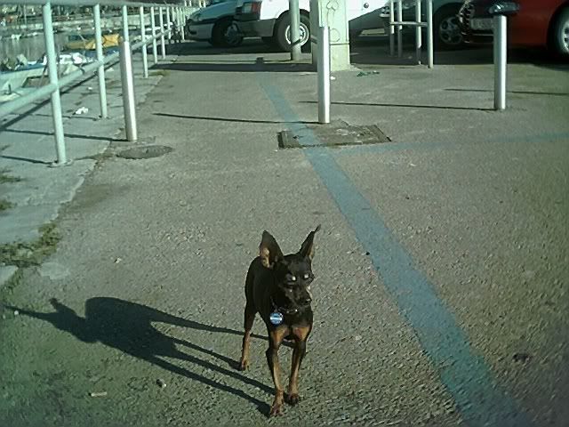 Photo Sharing and Video Hosting at Photobucket