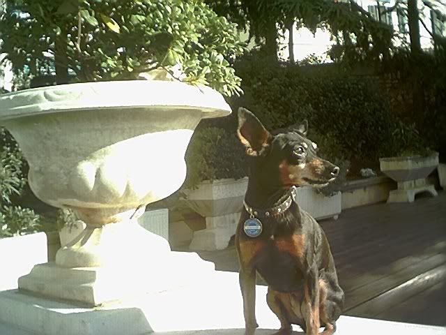 Photo Sharing and Video Hosting at Photobucket