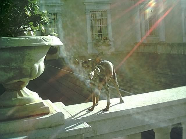 Photo Sharing and Video Hosting at Photobucket