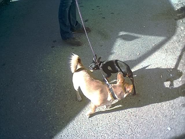 Photo Sharing and Video Hosting at Photobucket