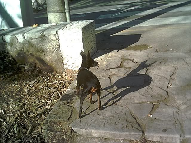 Photo Sharing and Video Hosting at Photobucket