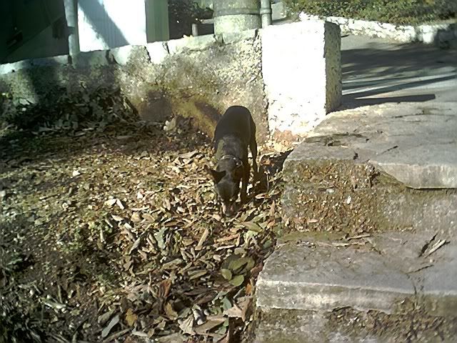 Photo Sharing and Video Hosting at Photobucket