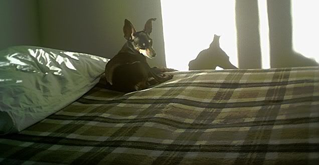 Photo Sharing and Video Hosting at Photobucket