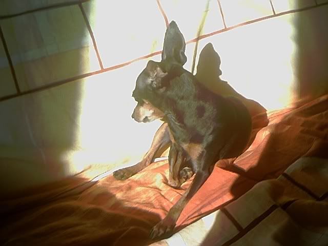 Photo Sharing and Video Hosting at Photobucket