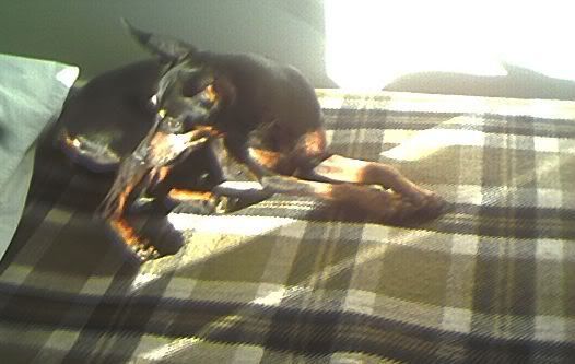 Photo Sharing and Video Hosting at Photobucket