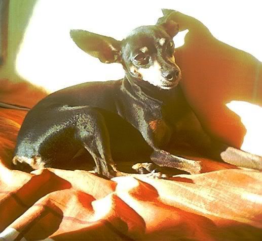 Photo Sharing and Video Hosting at Photobucket