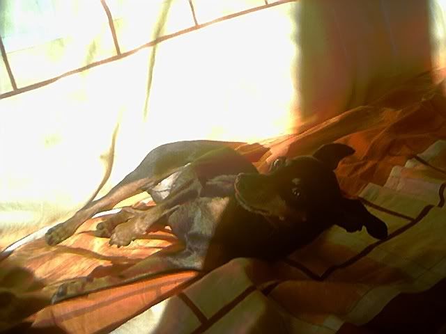 Photo Sharing and Video Hosting at Photobucket