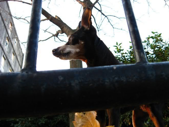 Photo Sharing and Video Hosting at Photobucket