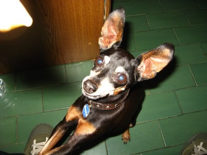 Photo Sharing and Video Hosting at Photobucket