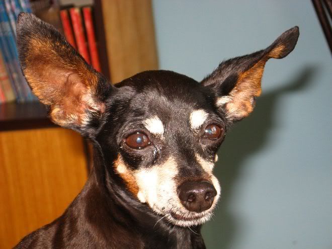 Photo Sharing and Video Hosting at Photobucket