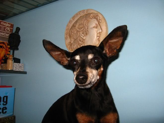 Photo Sharing and Video Hosting at Photobucket