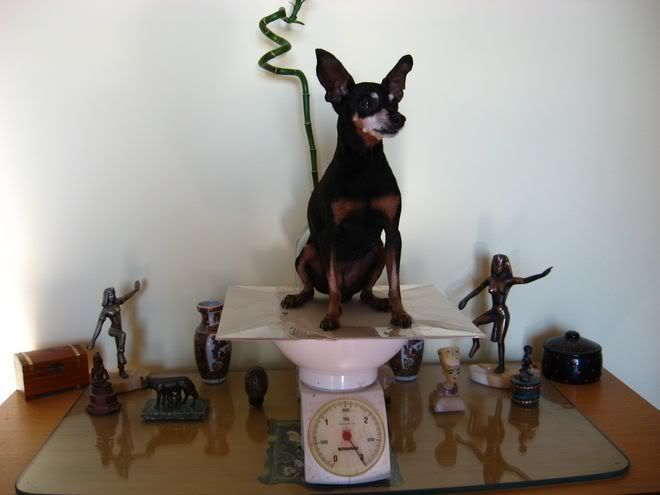 Photo Sharing and Video Hosting at Photobucket