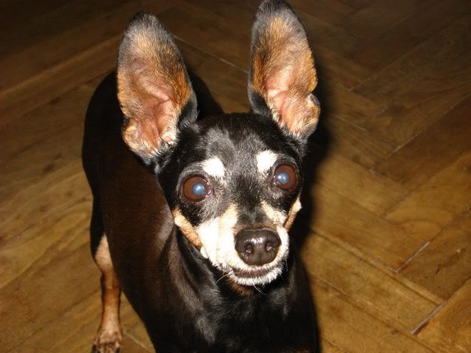 Photo Sharing and Video Hosting at Photobucket