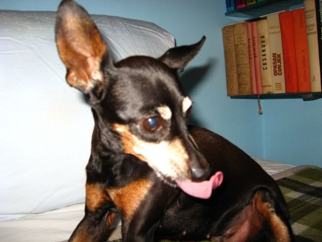 Photo Sharing and Video Hosting at Photobucket