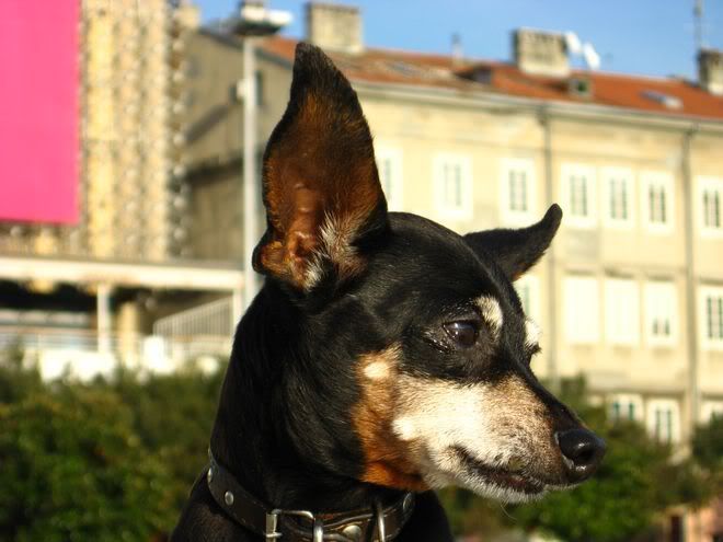 Photo Sharing and Video Hosting at Photobucket