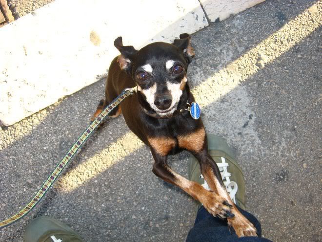 Photo Sharing and Video Hosting at Photobucket