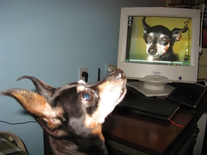 Photo Sharing and Video Hosting at Photobucket