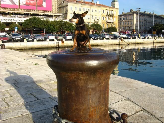 Photo Sharing and Video Hosting at Photobucket