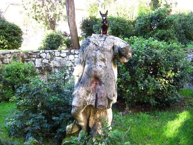 Photo Sharing and Video Hosting at Photobucket