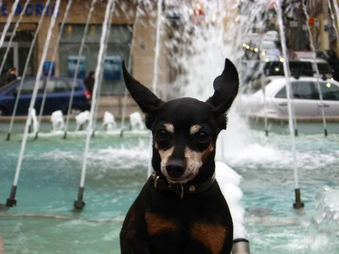 Photo Sharing and Video Hosting at Photobucket