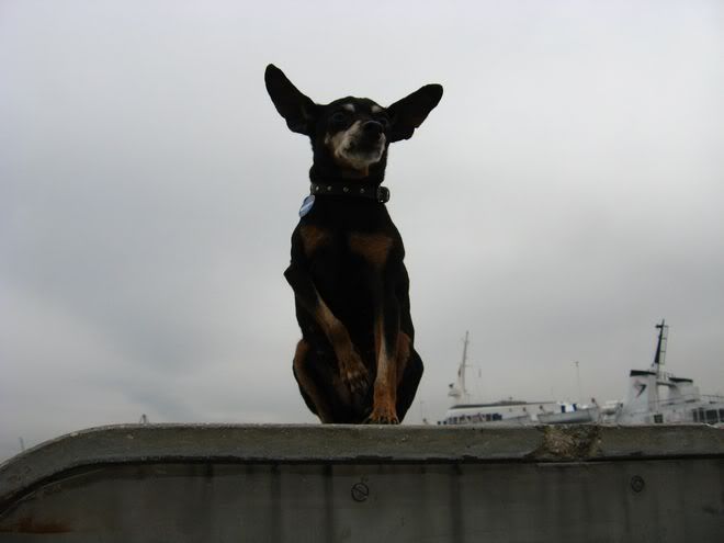 Photo Sharing and Video Hosting at Photobucket