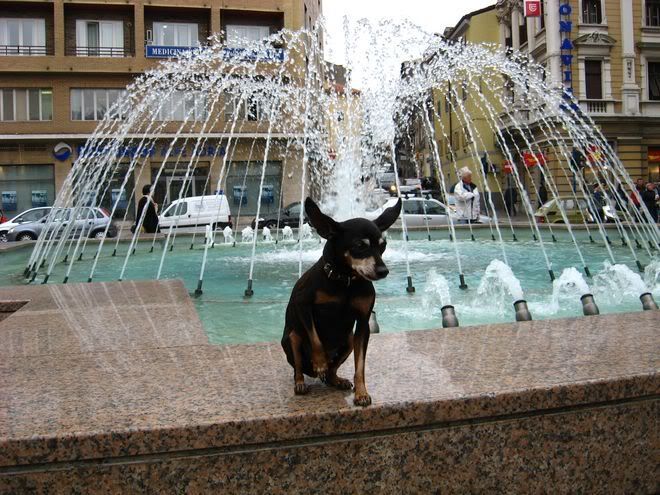 Photo Sharing and Video Hosting at Photobucket