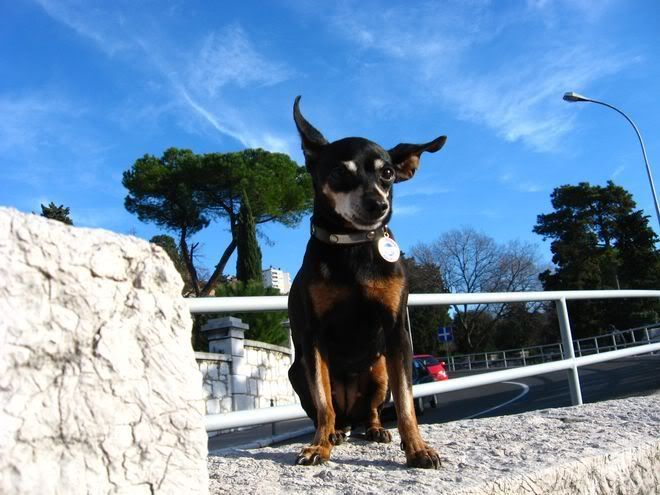 Photo Sharing and Video Hosting at Photobucket